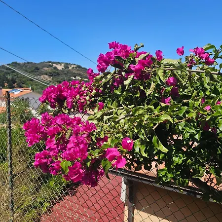 Azzurro Mare Holiday home *